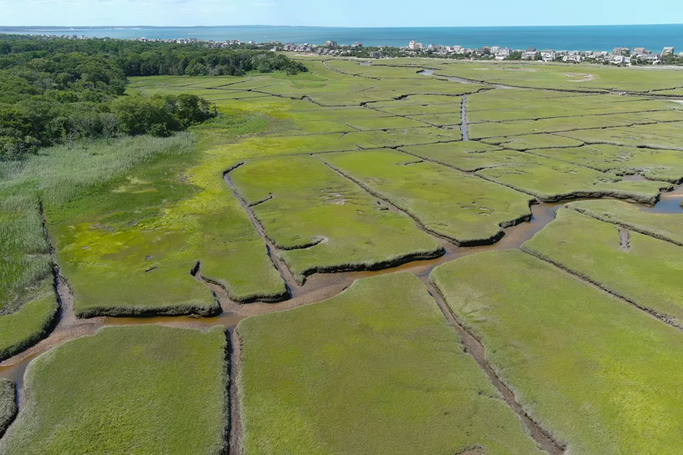 Broad Cape Cod wetlands crossed by intricate tidal creeks
